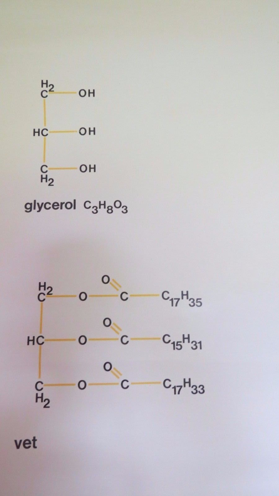 Vintage Roll Down Medical School Biochemistry Chart Of The Structure Of Fats photo 65.0