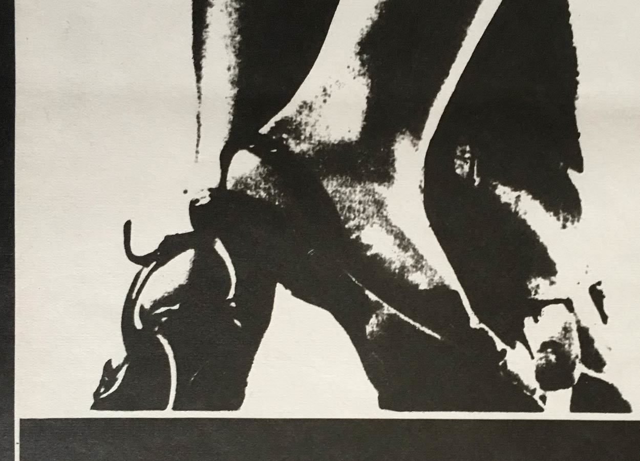 Original Film Poster , Same Time, Next Year, Zdeněk Vlach, 1981, Genuine Czech Vintage Print photo Art