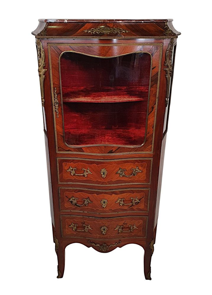 A Fine French 19th Century Serpentine Marble Top Display Cabinet photo 2892.7562
