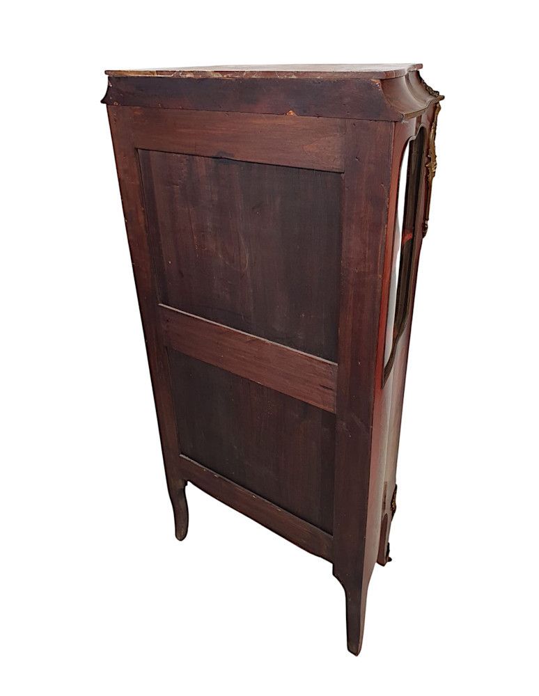 A Fine French 19th Century Serpentine Marble Top Display Cabinet photo vinterior