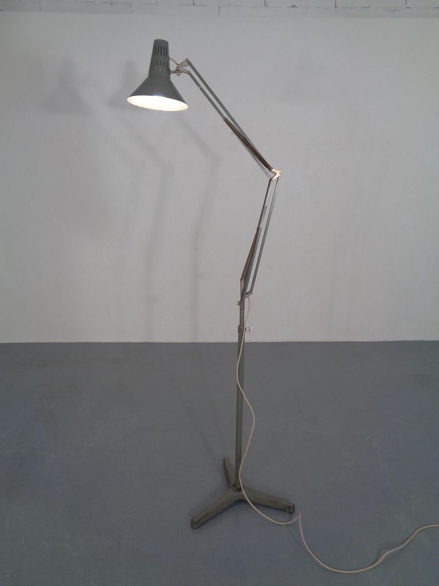 715.0 Industrial Terry Architectural Floor Lamp By H. Busquet For Hala, 1950s photo