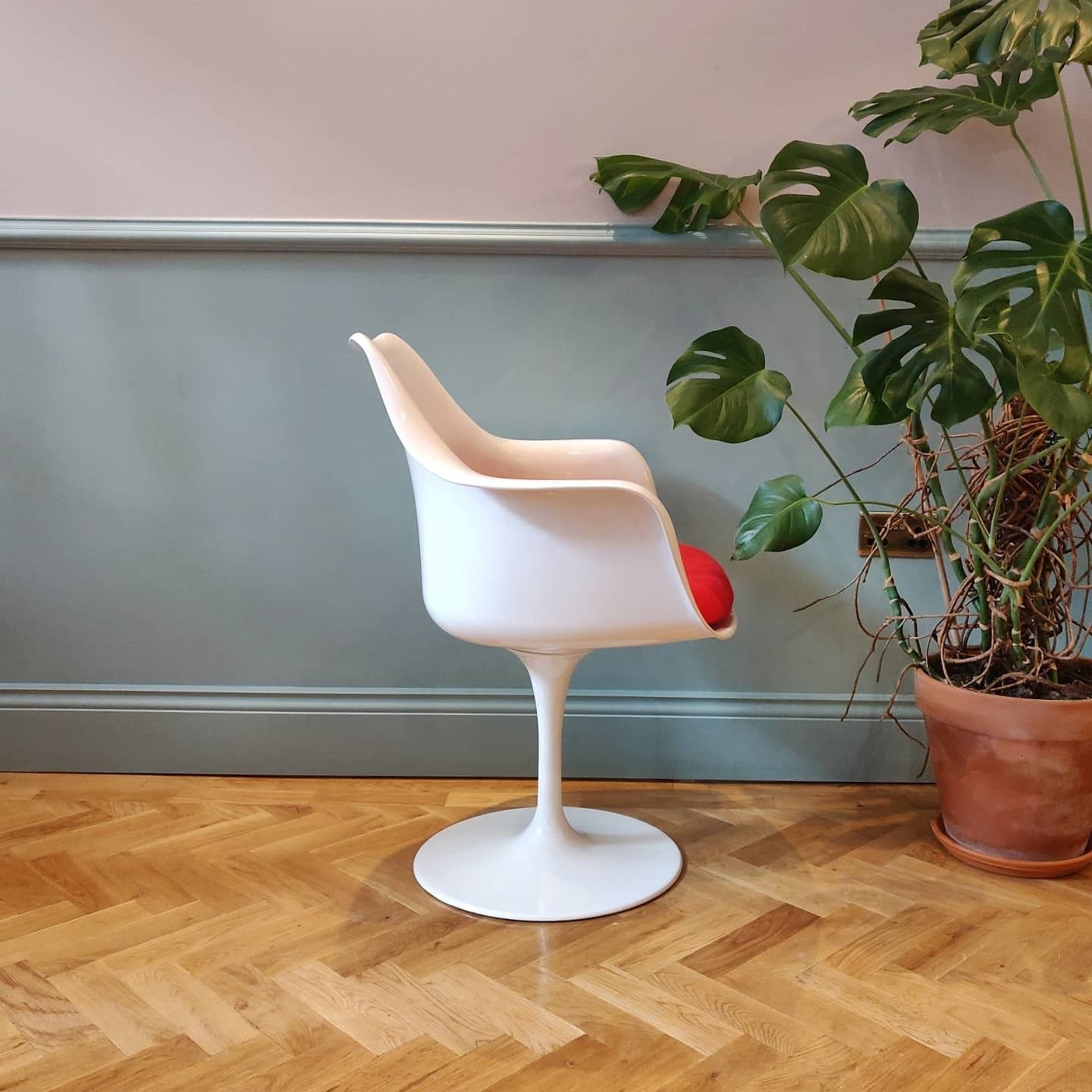 Mid 20th Century Rudi Bonzanini Tulip Chair photo Furniture