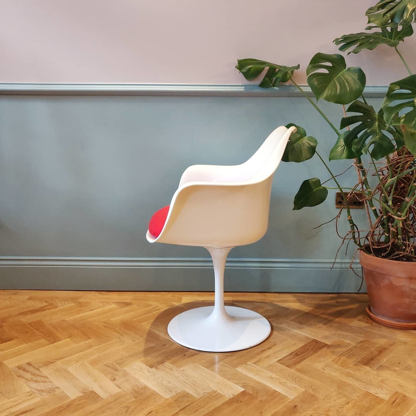 Mid 20th Century Rudi Bonzanini Tulip Chair photo furniture