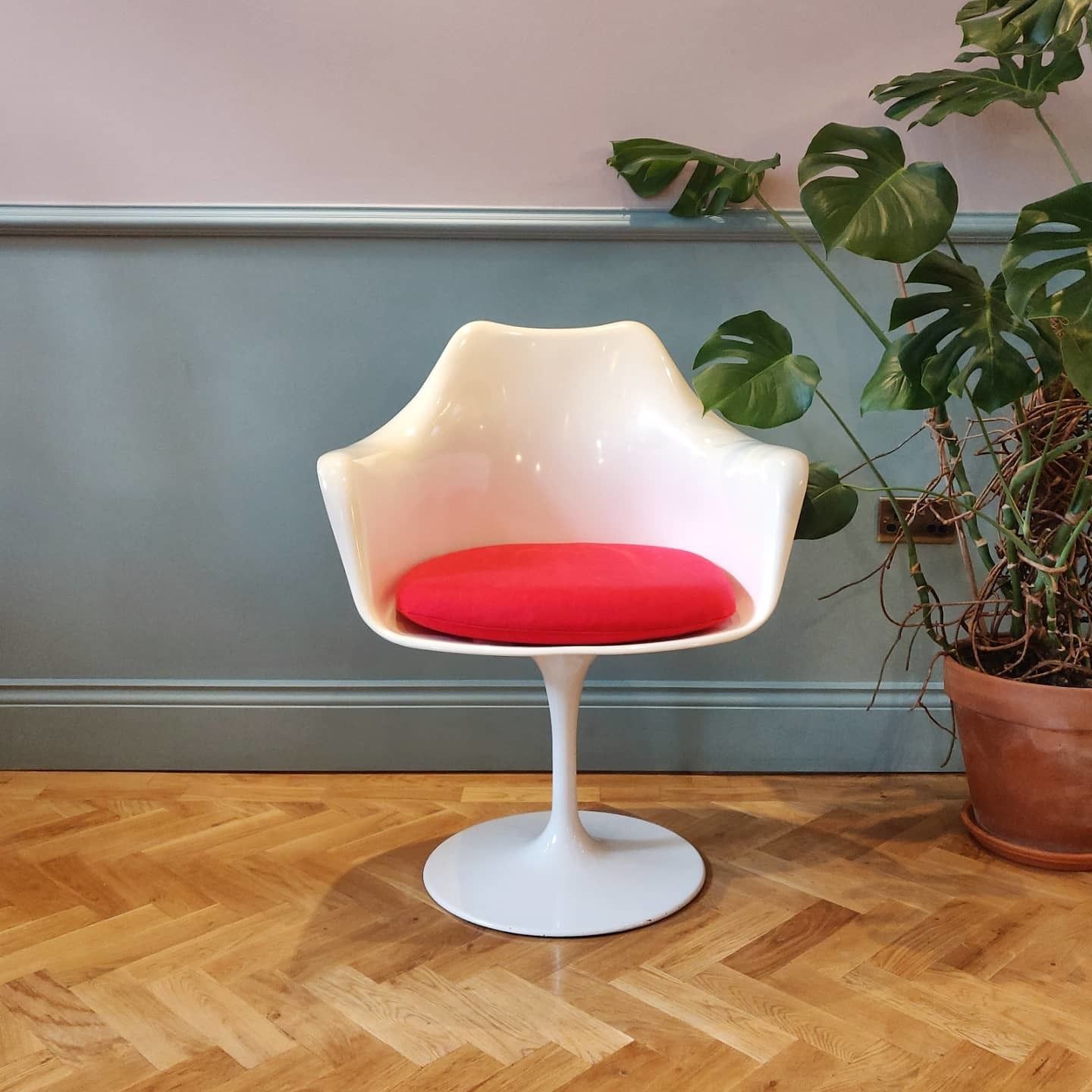 Mid 20th Century Rudi Bonzanini Tulip Chair photo 505.0