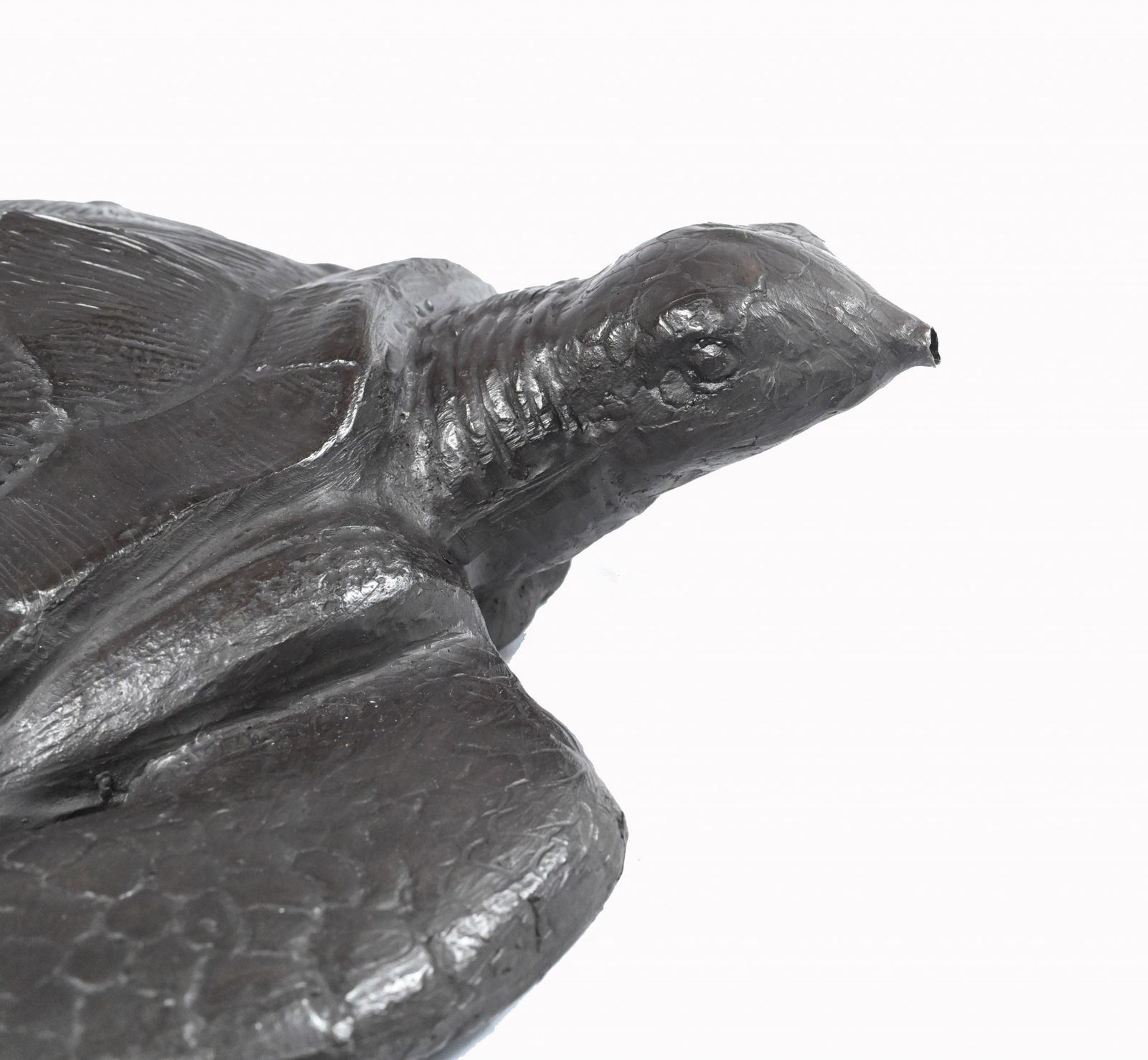 Bronze Turtle Fountain Sea Turtles Garden Pond Water Feature photo Garden Decor