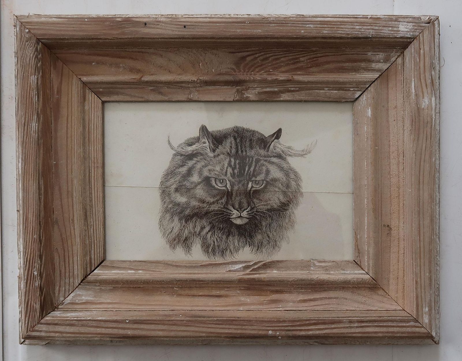 Original Antique Print Of A Cat After Landseer. C.1840. photo furniture