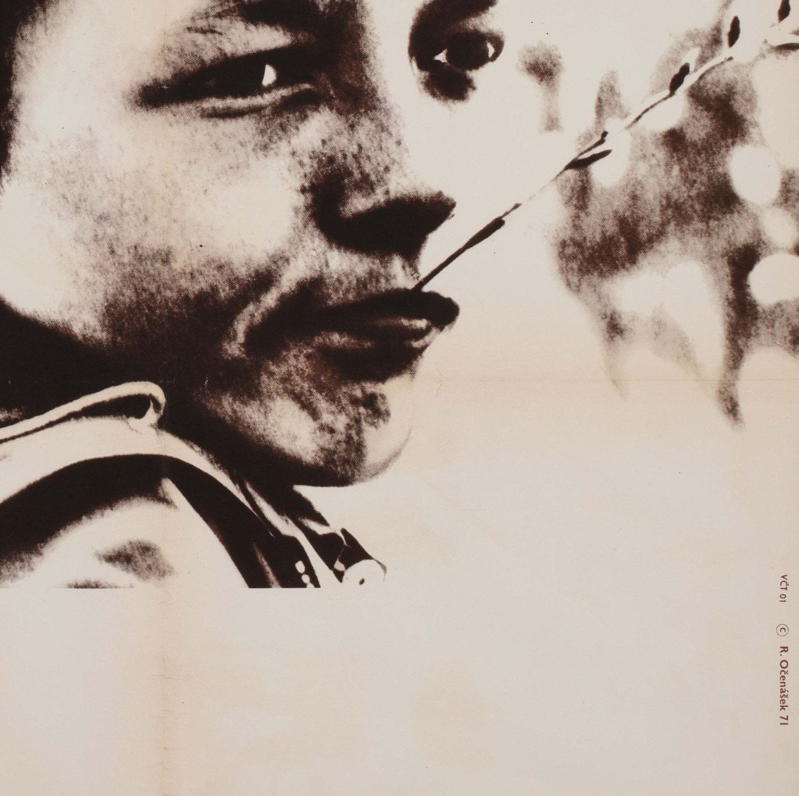 Kes 1971 Czech A1 Film Poster, Ocenasek photo vinterior