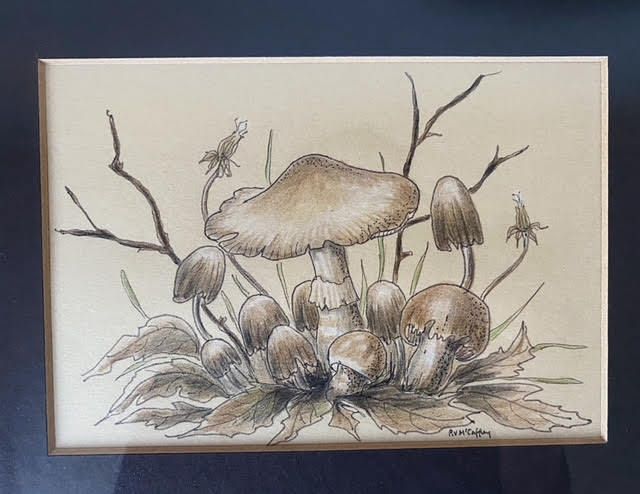 Trio Of Coloured Mushroom Drawings photo Art
