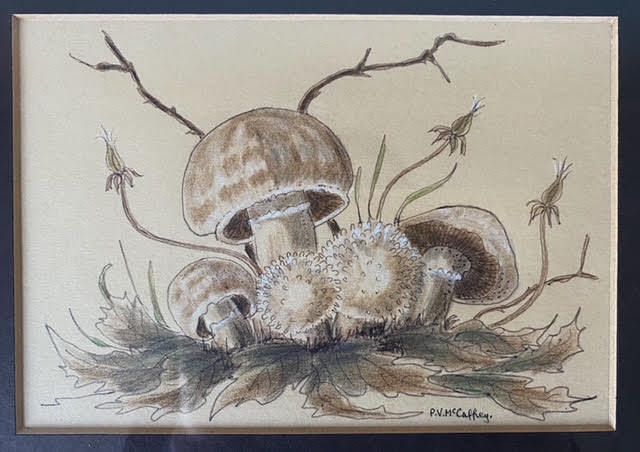Trio Of Coloured Mushroom Drawings photo 135.0