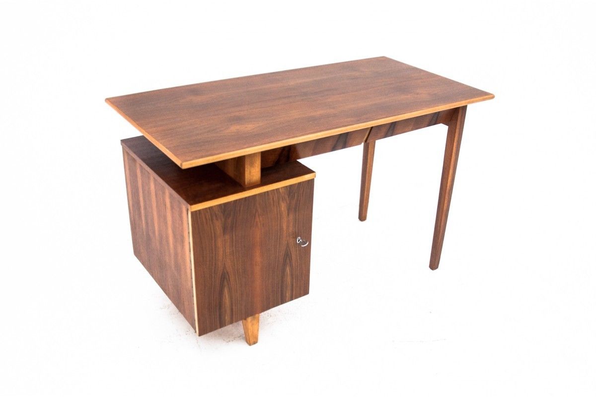 Vintage Desk, Designed By M. Puchała, Poland, 1960s. After Renovation. photo for sale
