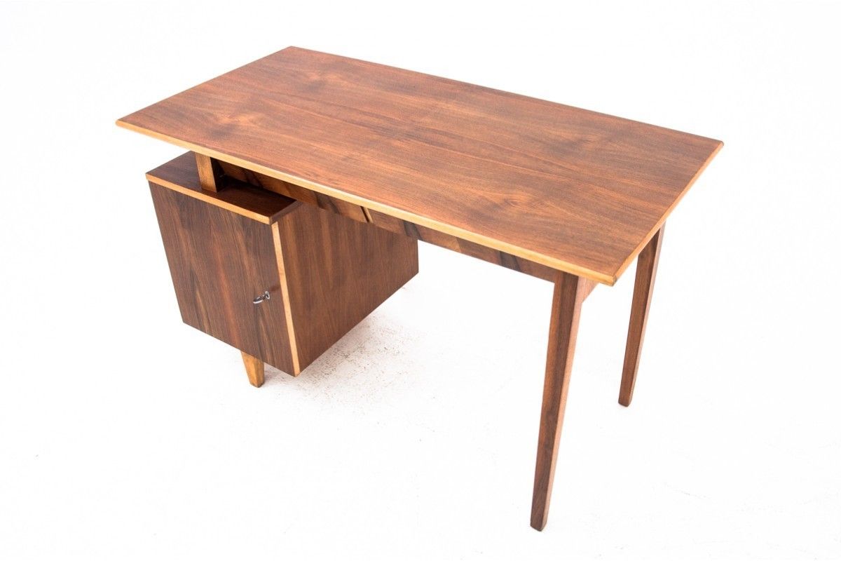 Vintage Desk, Designed By M. Puchała, Poland, 1960s. After Renovation. photo 1231.0