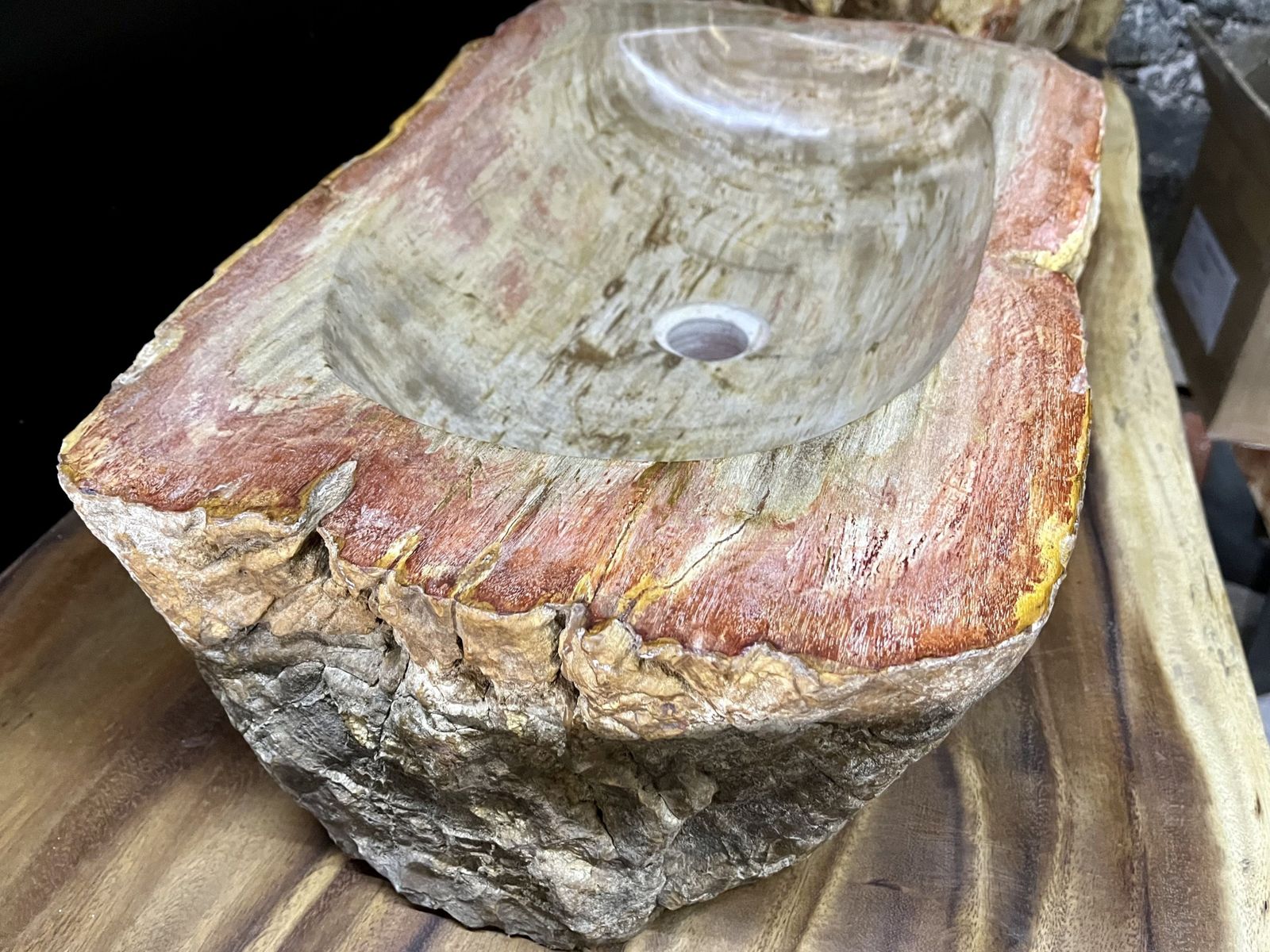 Home Decor Petrified Wood Sink In Beige/ Grey/ Red & Yellow Tones, Top Quality, Organic Modern, 2021 photo