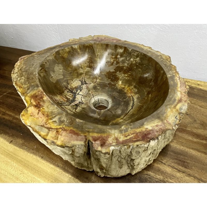 Petrified Wood Sink Brown/ Beige/ Yellow & Red Tones Polished Top Quality photo buy