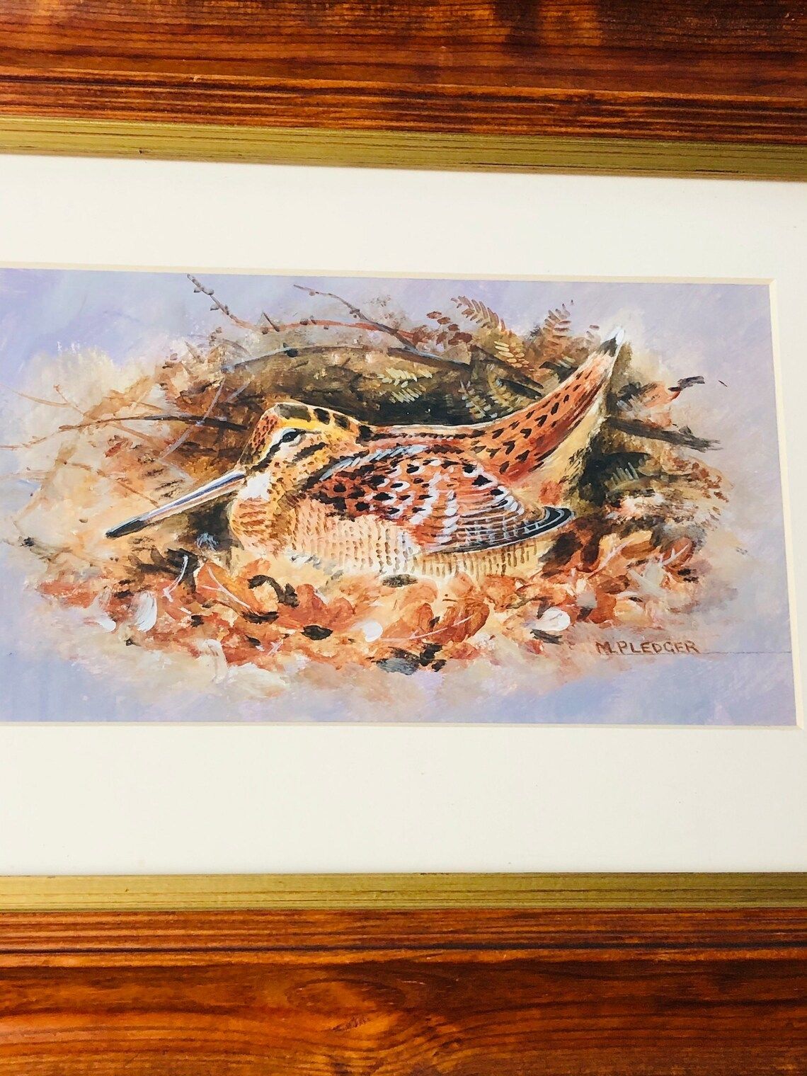 M Pledger Original Painting Wildlife Bird In Nest Autumnal Colours In Chunky Stained Pine Frame Vintage (P) photo for sale