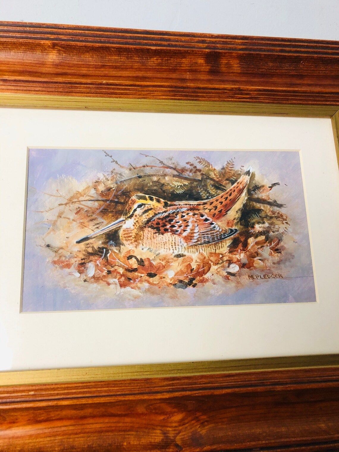 M Pledger Original Painting Wildlife Bird In Nest Autumnal Colours In Chunky Stained Pine Frame Vintage (P) photo vinterior
