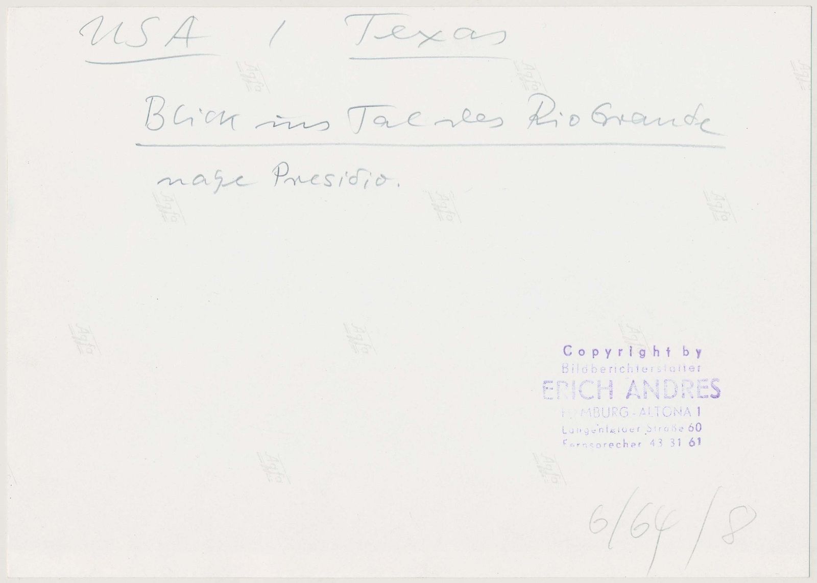 Cacti Rio Grande Black And White USA 1960s photo for sale