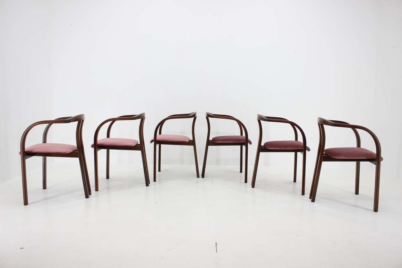 Set Van 6 Zeldzame Eet /Bijzetstoelen Van Ton, Ca. Jaren 1980 photo Meubels