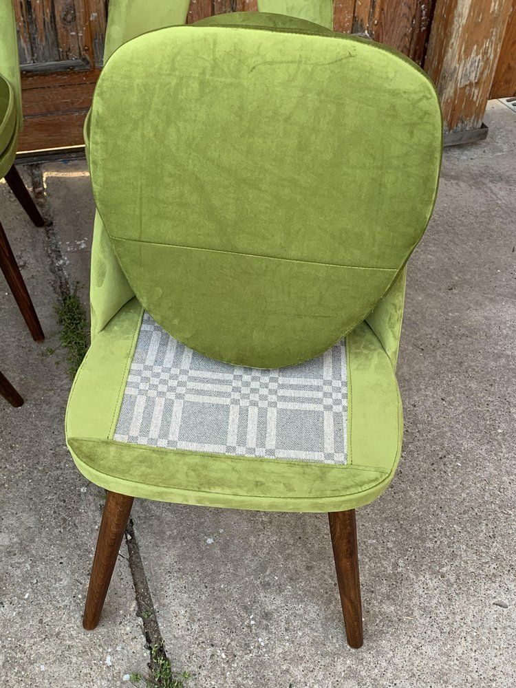 Mid Century Dining Chairs By Antonín šuman For Tatra Nábytok, 1960s, Set Of 4 photo buy
