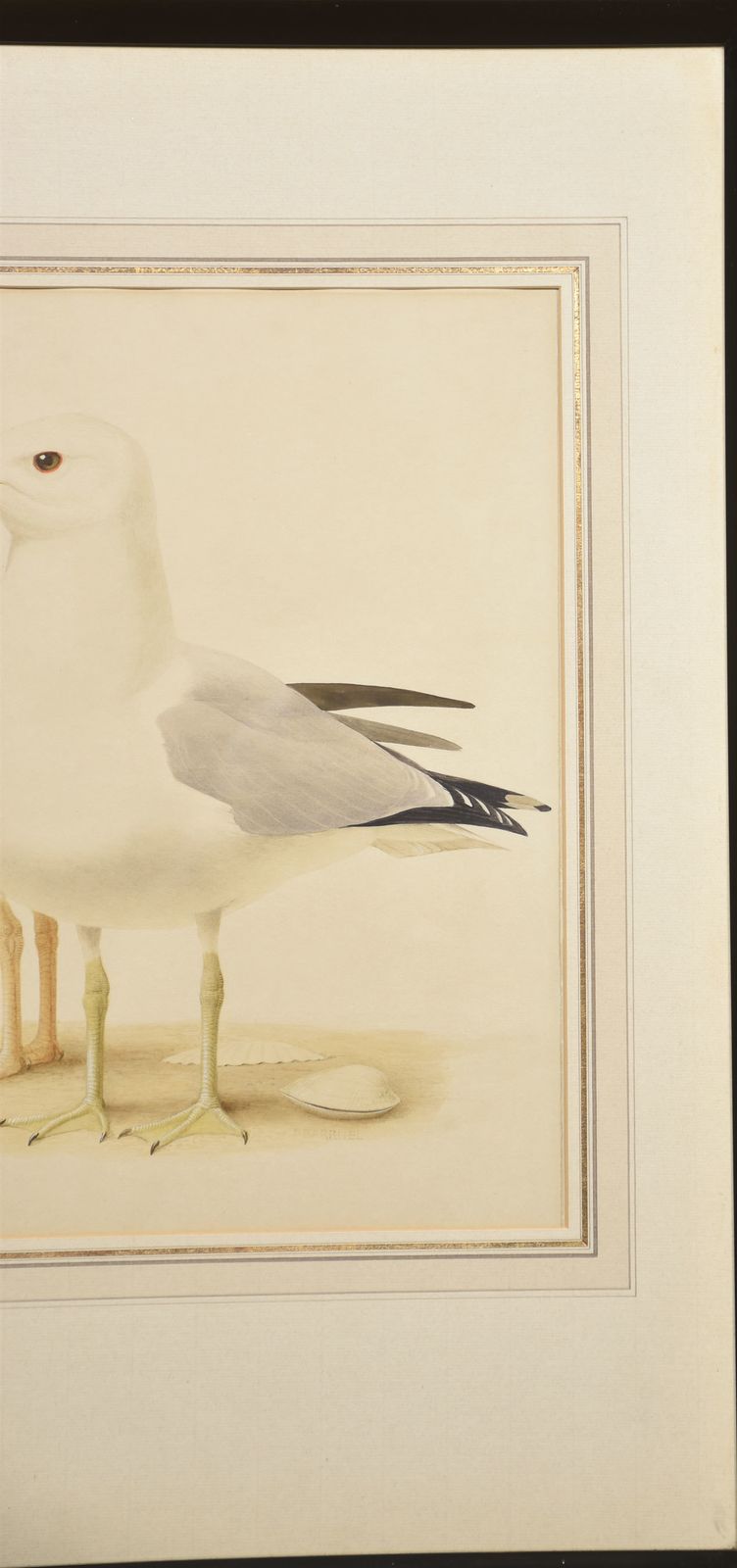 Paul Louis Barruel Watercolour On Paper photo for sale