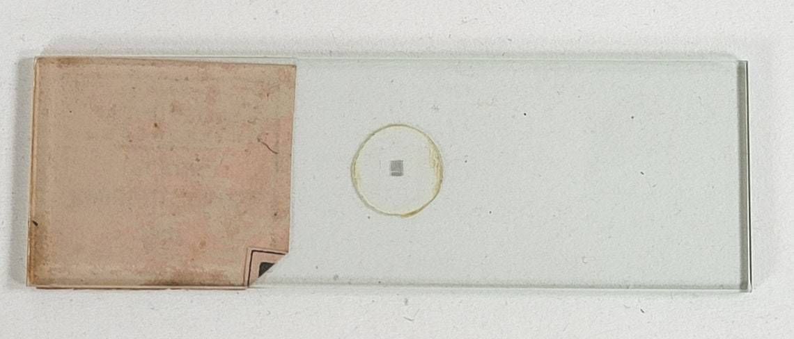 Antique Religious Microphotograph By John Stovin From 1860 photo Art