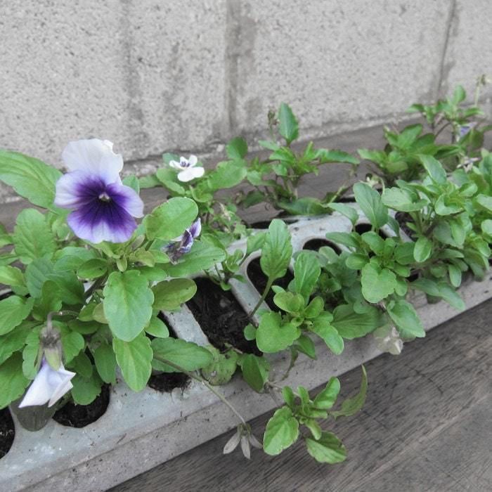 Industrial Garden Planter Flowers Window Metal Pot Plant photo furniture