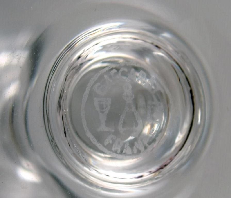 Baccarat, France, 10 Art Deco Champagne Flutes In Clear Crystal Glass photo 1297.0