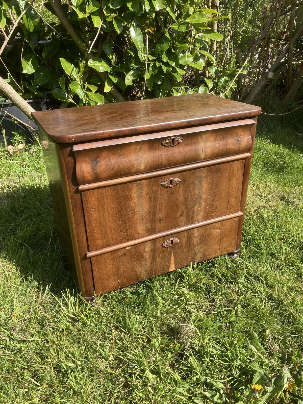 Walnut Continental Chest Of Drawers photo vinterior