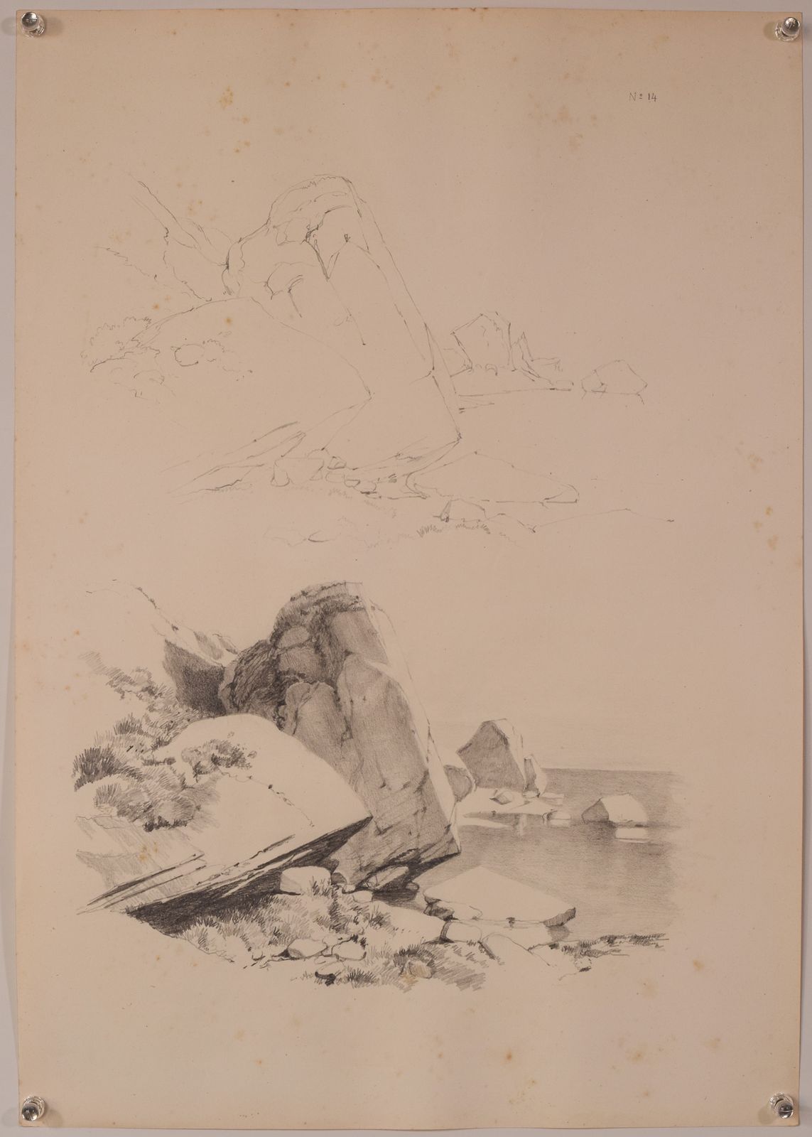 Set Of 11 Pencil Studies Of Nature photo furniture