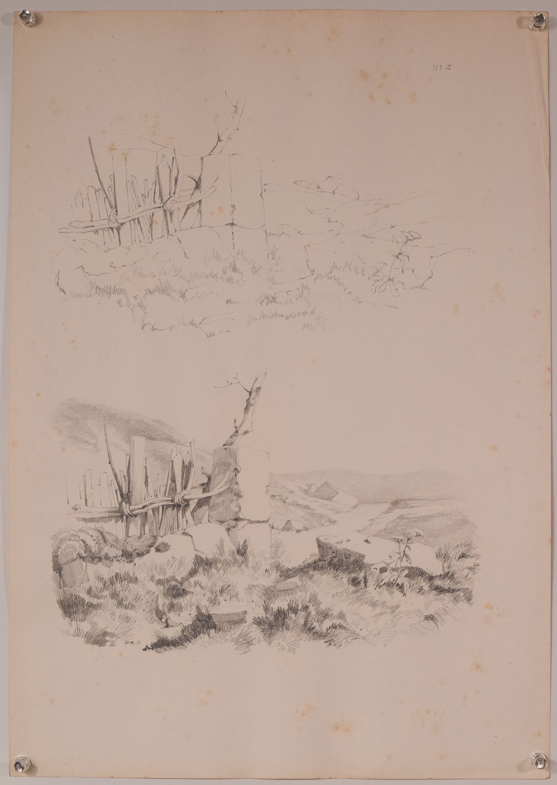 Set Of 11 Pencil Studies Of Nature photo 400.0