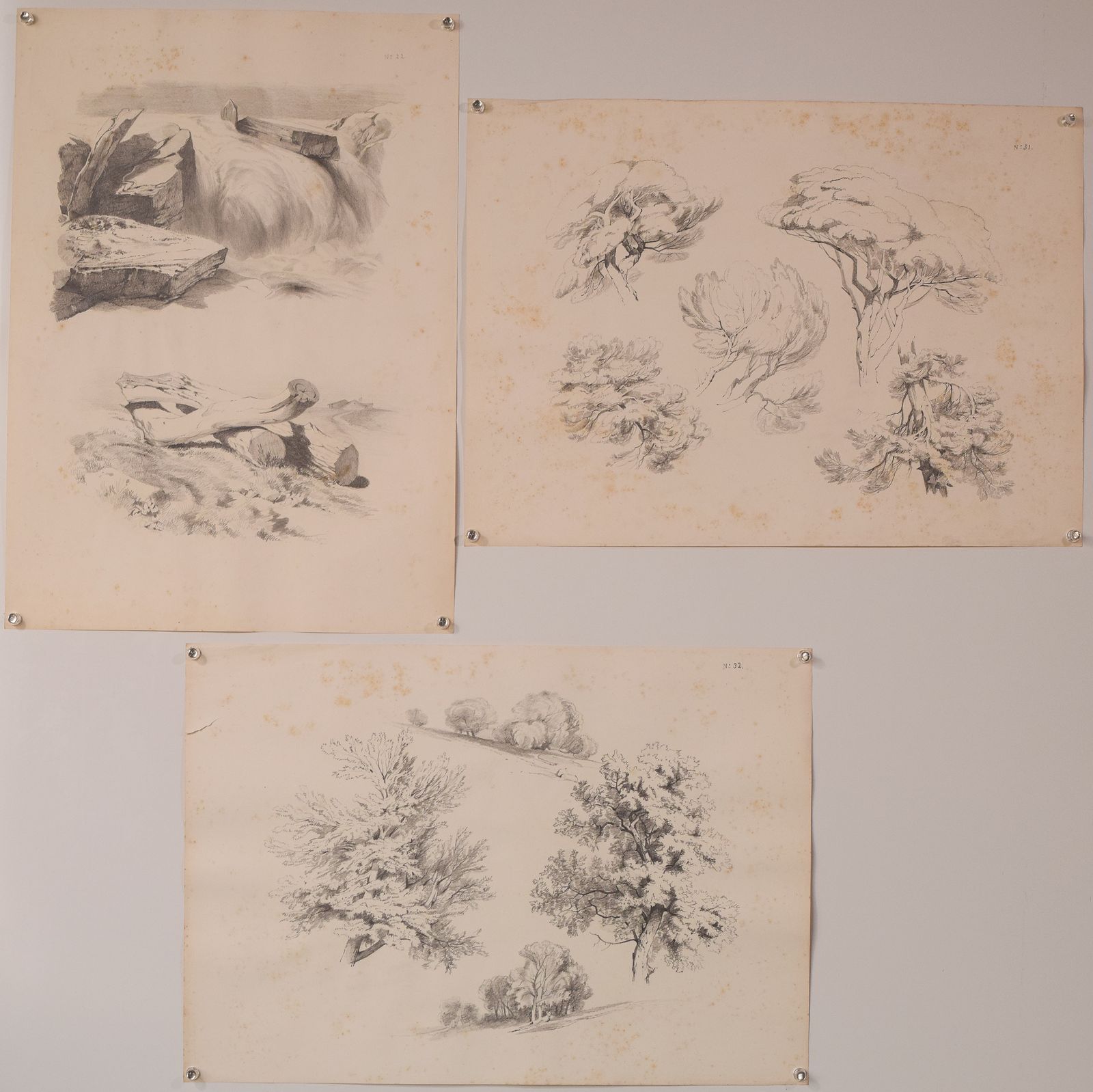 Set Of 11 Pencil Studies Of Nature photo buy
