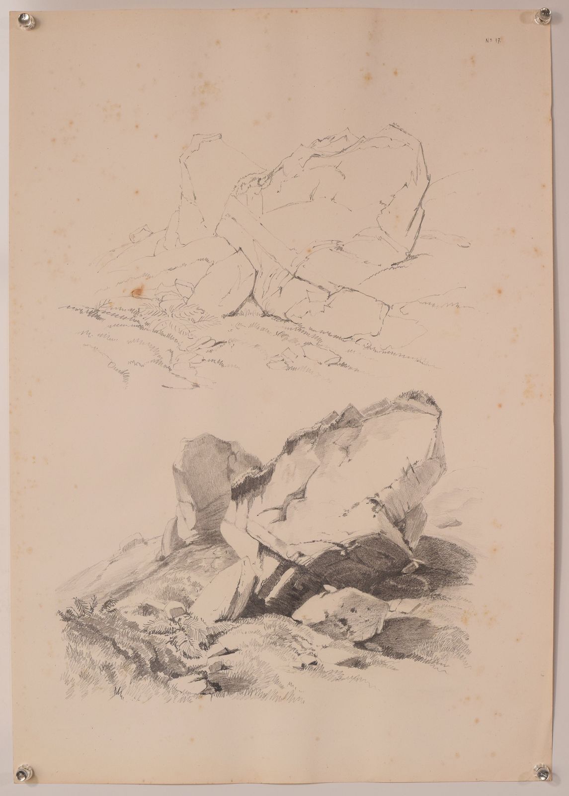 photo buy Set Of 11 Pencil Studies Of Nature