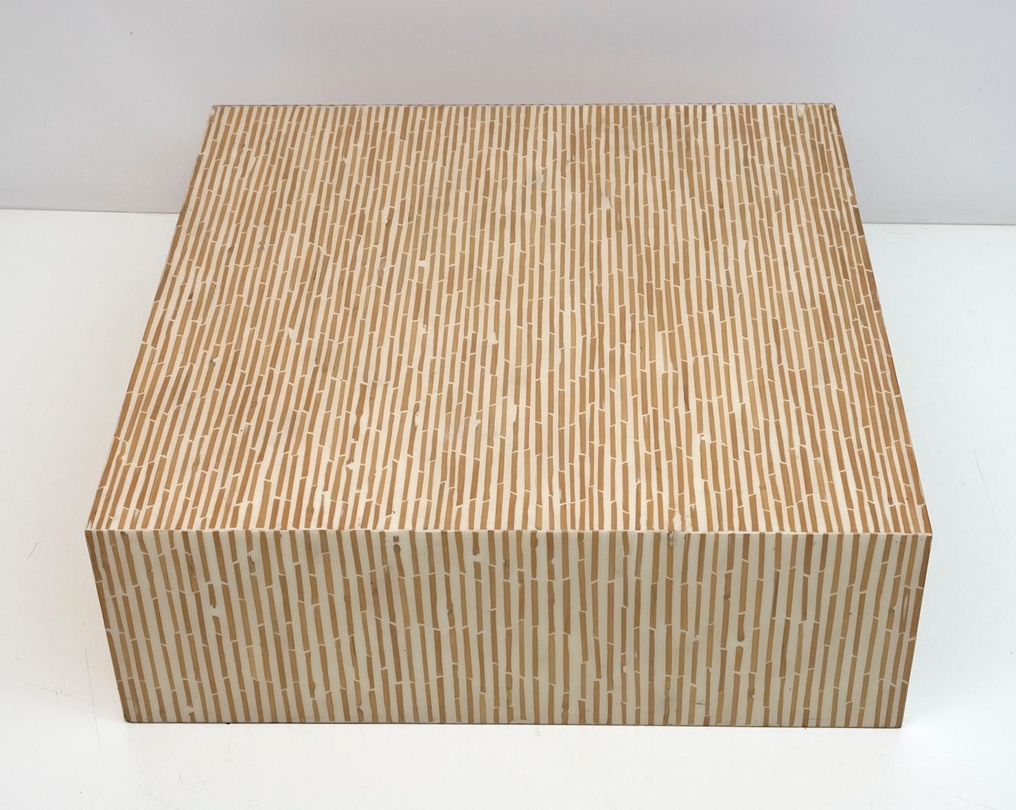 Modern Italian Resin And Bamboo Coffee Table photo Furniture