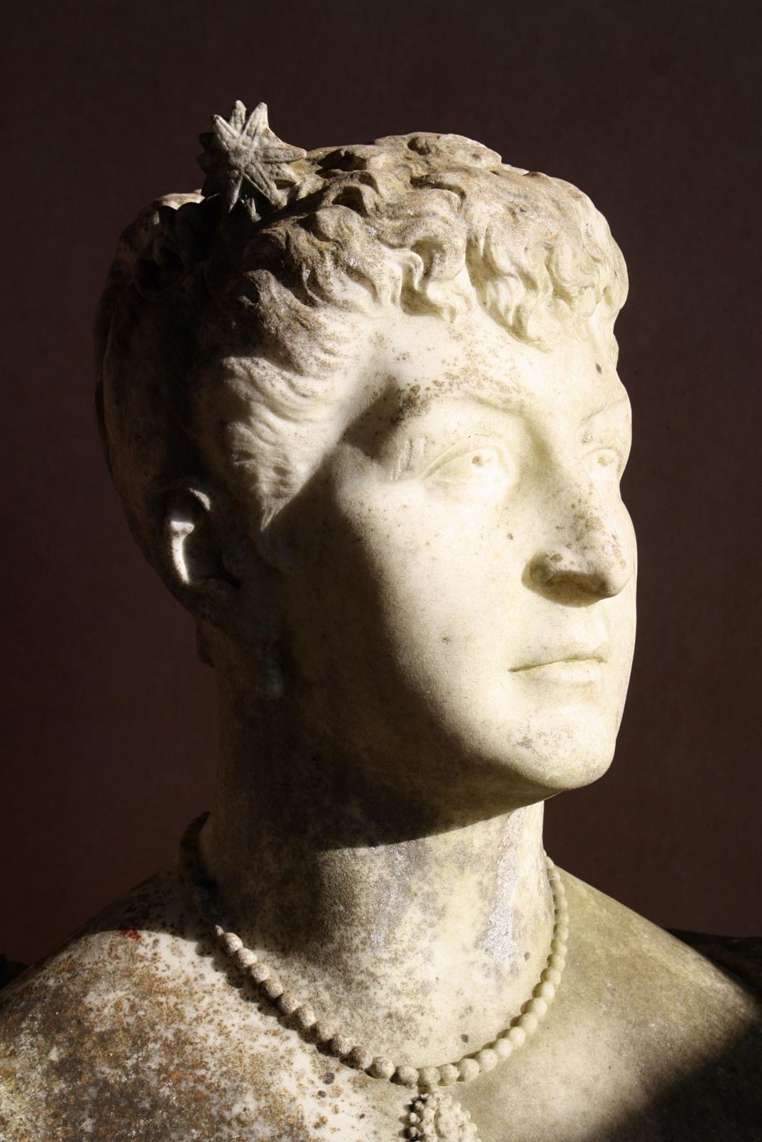 photo vintage 19th Century Philanthropist Annie, Lady Jerningham Large Marble Bust W.R.Ingram