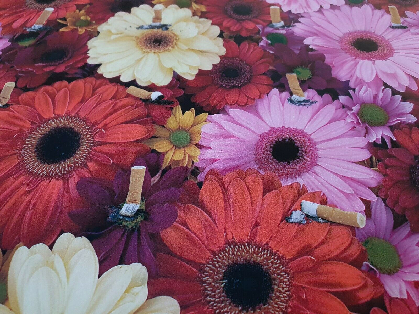 Damien Hirst (British B. 1965) Beautiful Inside My Head photo for sale