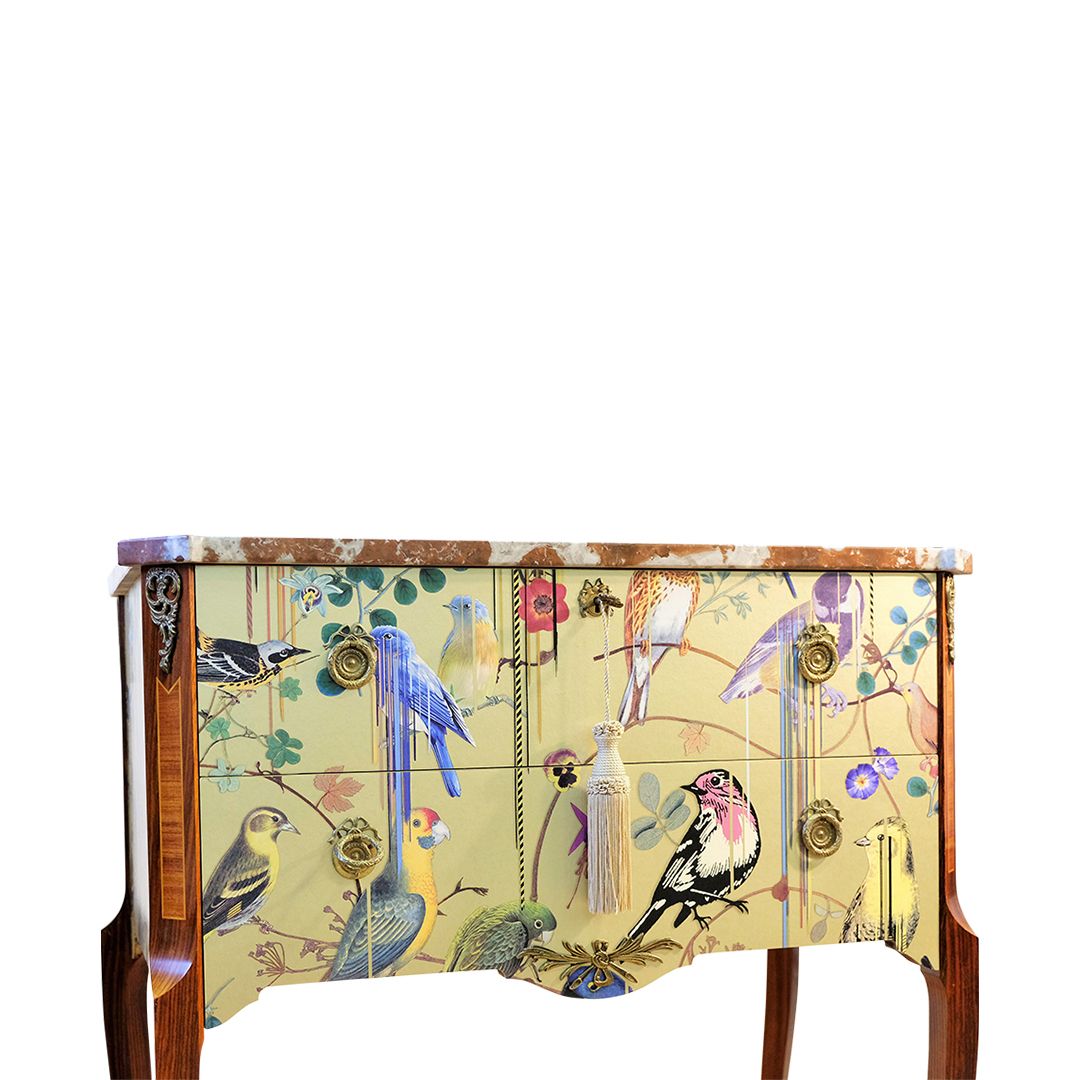 Classic Gustavian Louis XV Style Chests With Christian Lacroix Design   Pair photo furniture