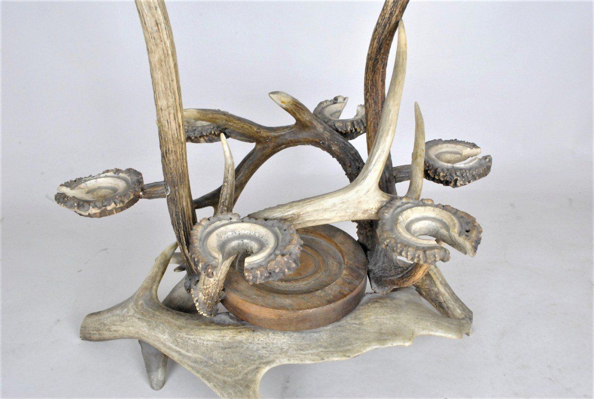 Glass Holder And Bottle In Horn, End Of The Xi Xth Century photo Home Decor