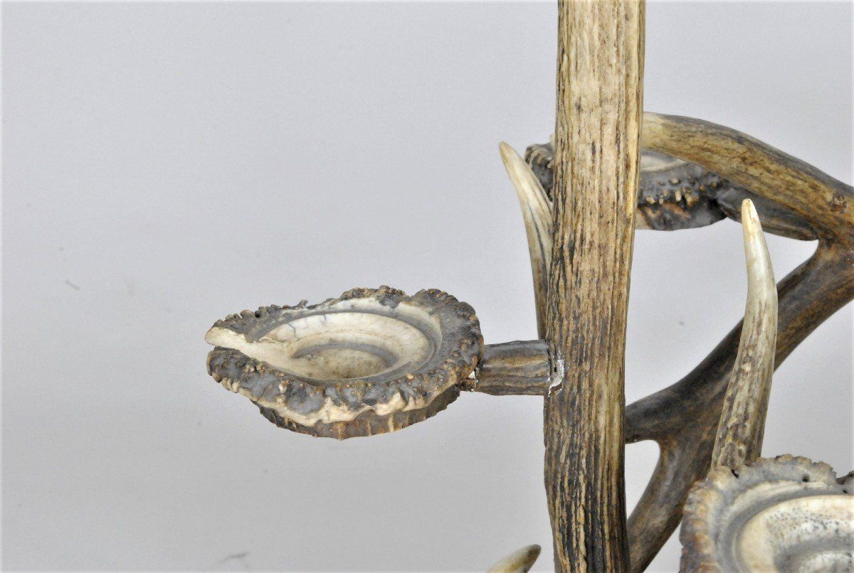 Glass Holder And Bottle In Horn, End Of The Xi Xth Century photo vintage