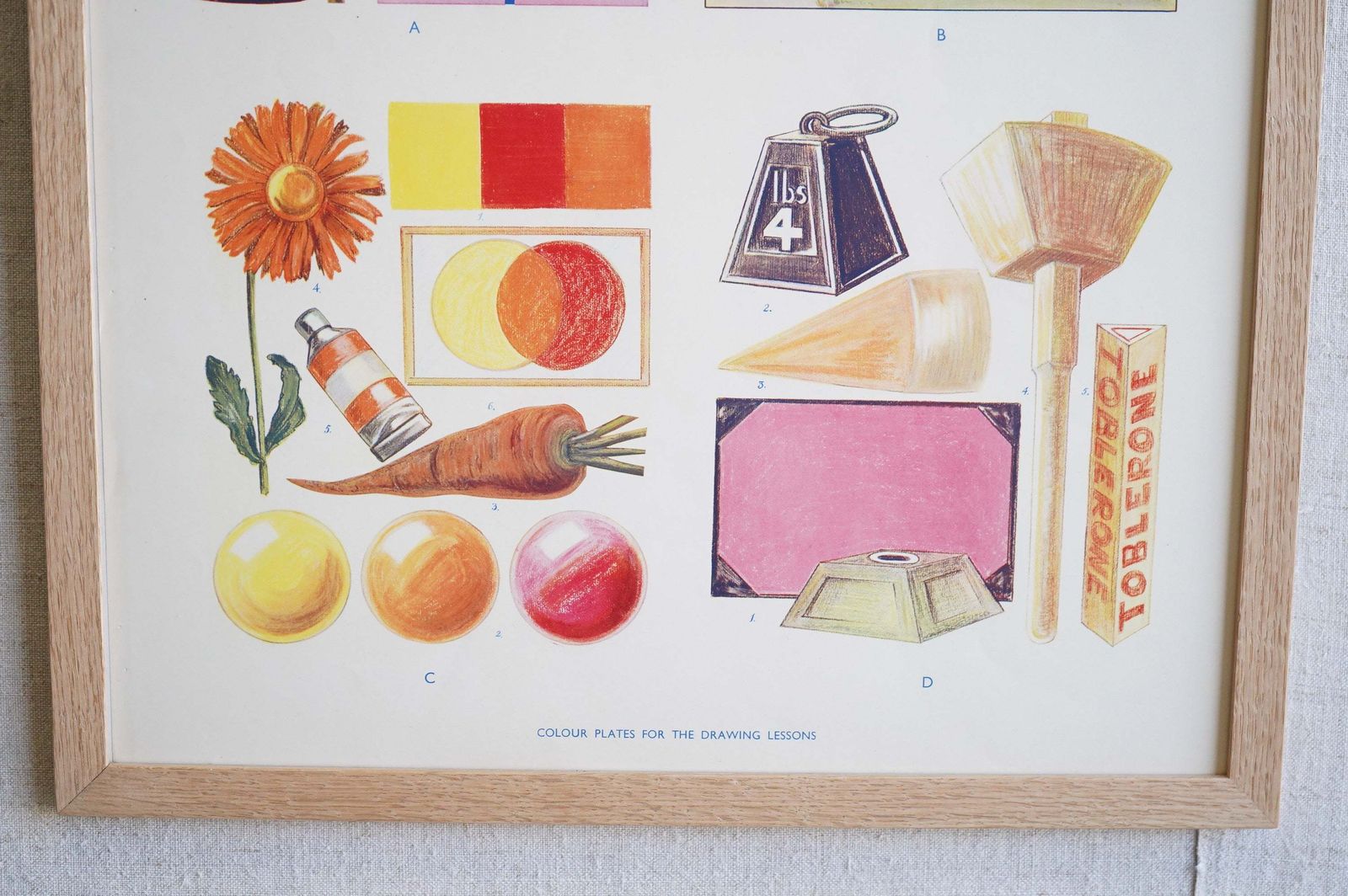 Framed Educational Print, Mid 20th Century photo for sale