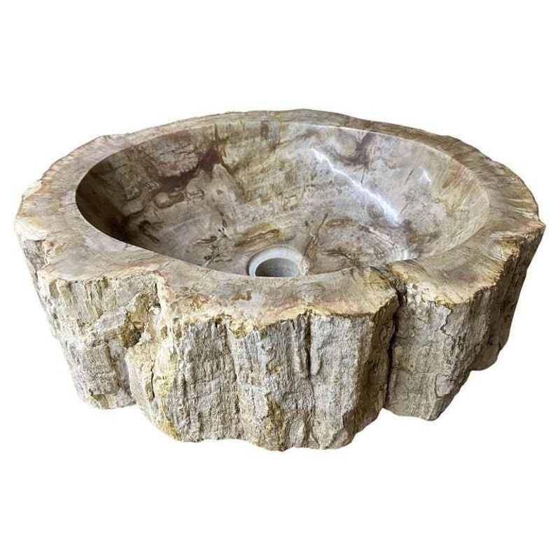 Petrified Wood Sink Beige/ Brown/ Grey Tones, Polished   Top Quality