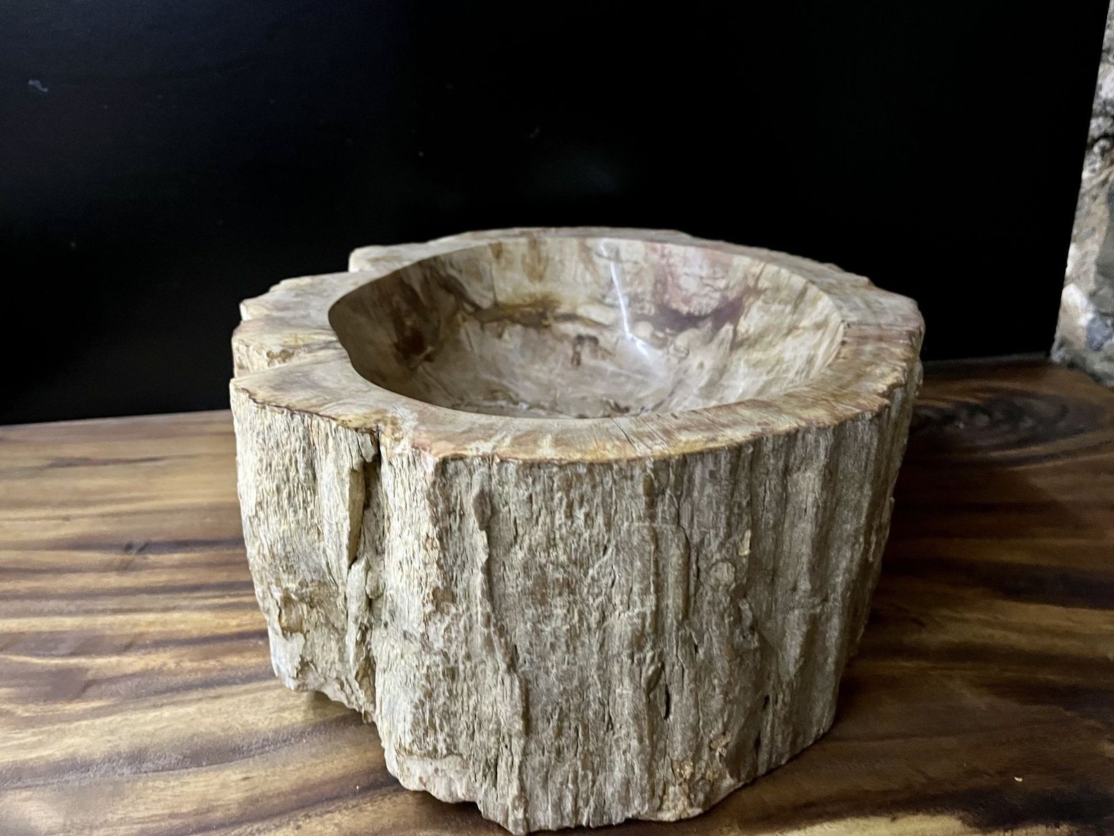 Petrified Wood Sink Beige/ Brown/ Grey Tones, Polished   Top Quality photo vintage
