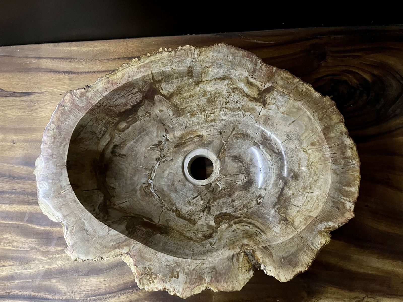 photo furniture Petrified Wood Sink Beige/ Brown/ Grey Tones, Polished   Top Quality