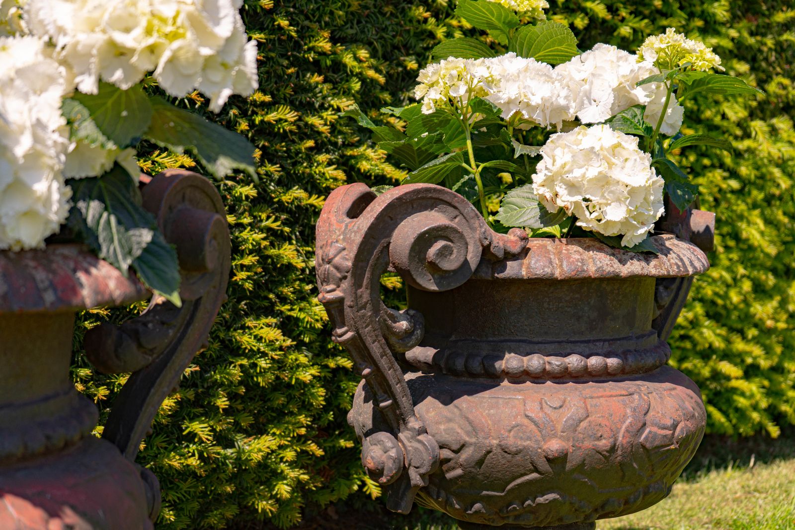A Pair Of Antique Cast Iron French Garden Urns photo Garden Decor
