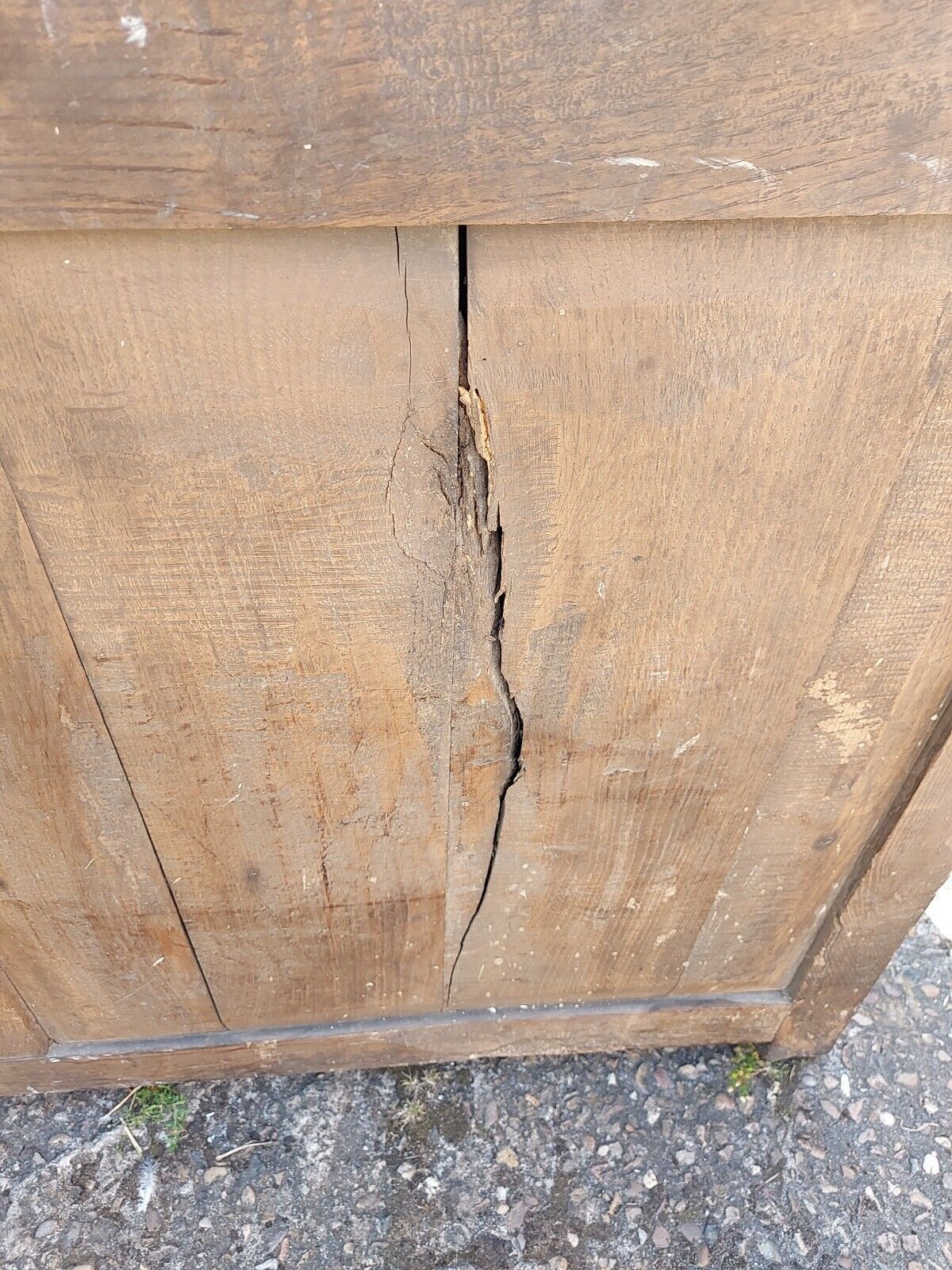 Gorgeous, Large 19th Century Oak Panelled Mule Chest With Three Drawers photo 350.0