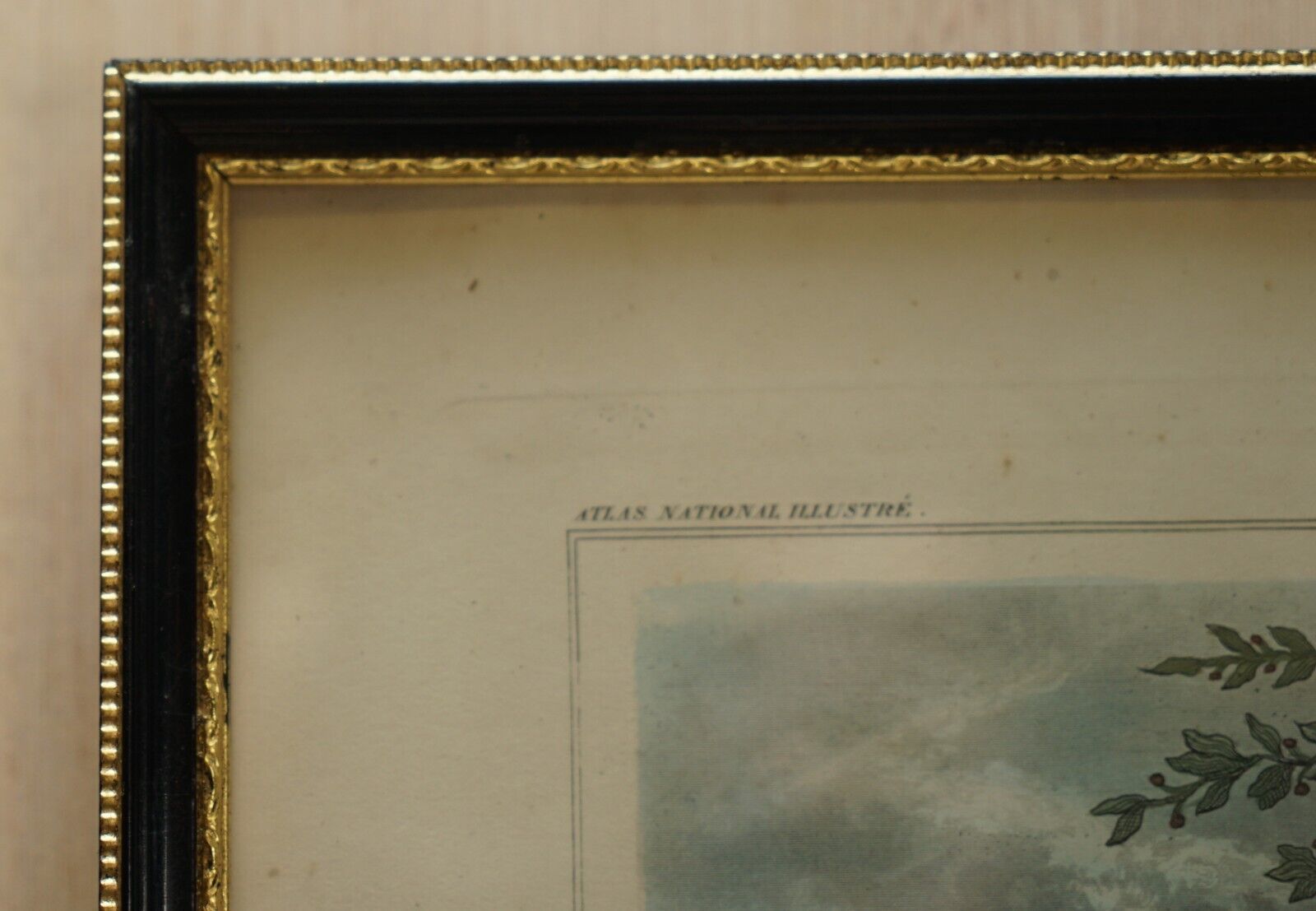 Beautiful Colour French Antique 1856 Hand Watercolour Map Of Dept Des La Corse photo 750.0