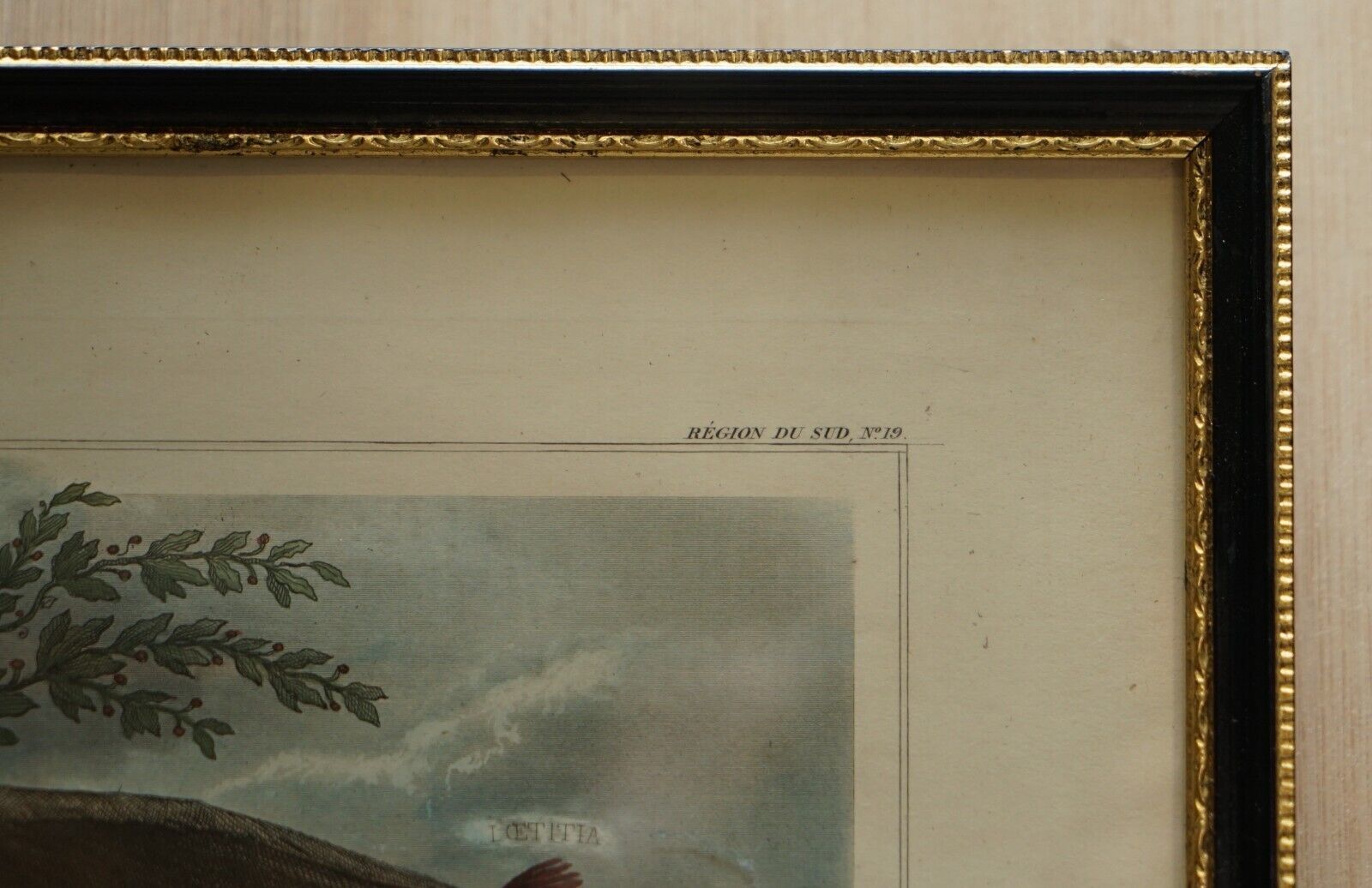 Beautiful Colour French Antique 1856 Hand Watercolour Map Of Dept Des La Corse photo vinterior