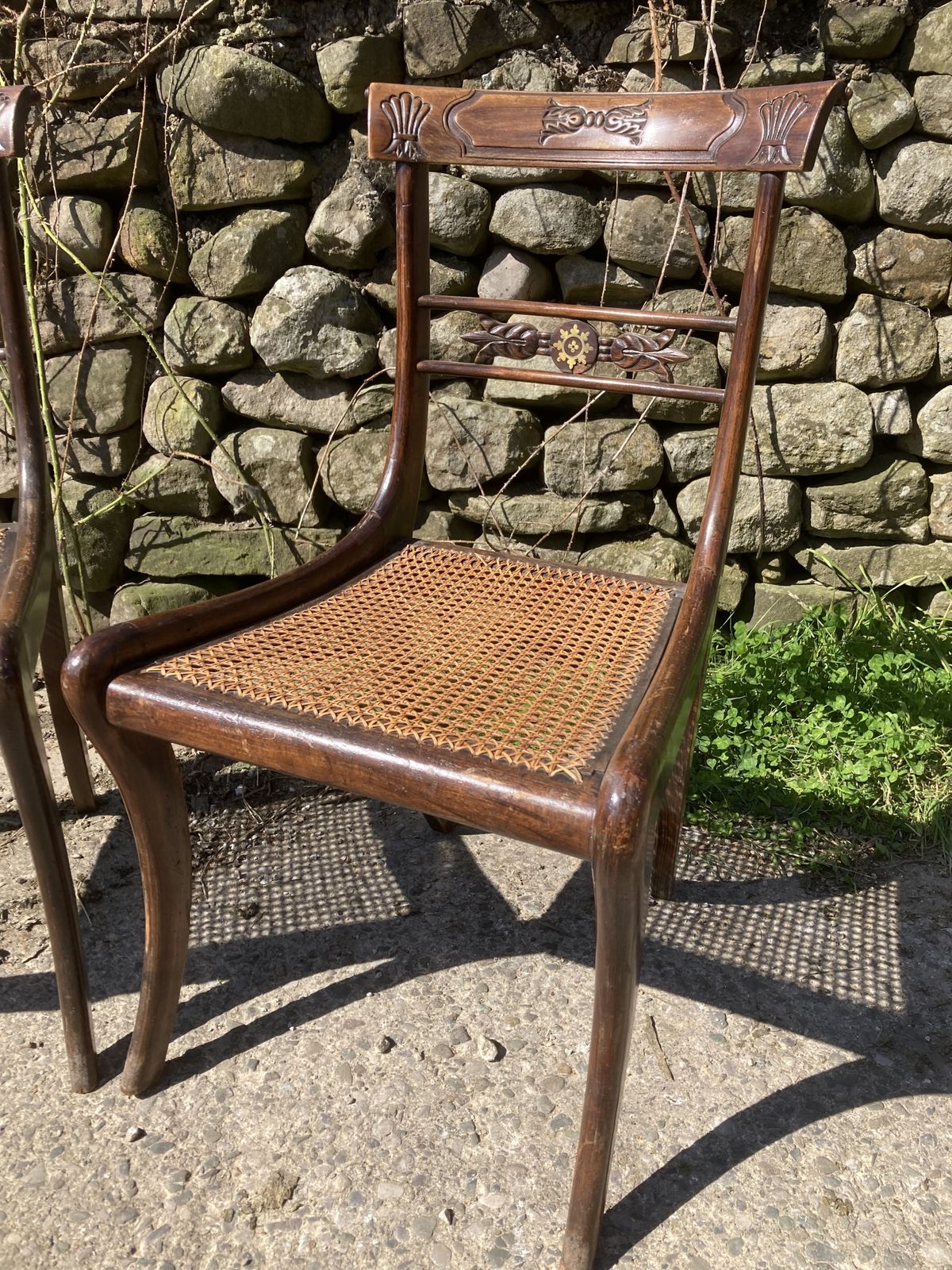 Pair Of 1800s Simulated Rosewood, Cane, Saber Leg Dining Chairs photo for sale