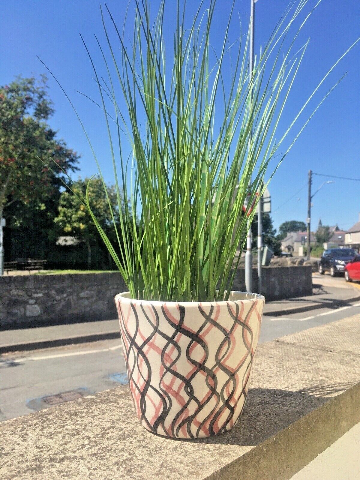 65.0 Mid Century 50's 60's Squiggly Striped Pottery Planter Plant Pot Vintage Retro photo