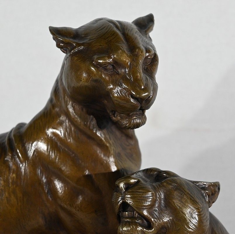 Important Bronze "Couple Of Lionesses", By L. Riché   Early 20th Century photo buy