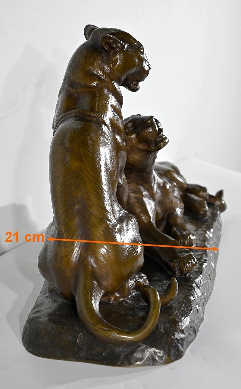 photo vintage Important Bronze "Couple Of Lionesses", By L. Riché   Early 20th Century