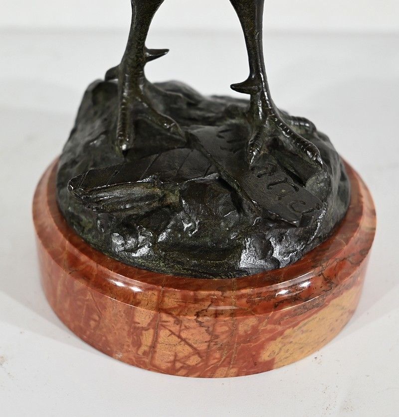 photo vinterior Bronze “Le Coq Gaulois”, By G. Vacossin – Early 20th Century